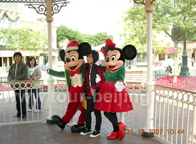 Half Day Disneyland Layover Tour