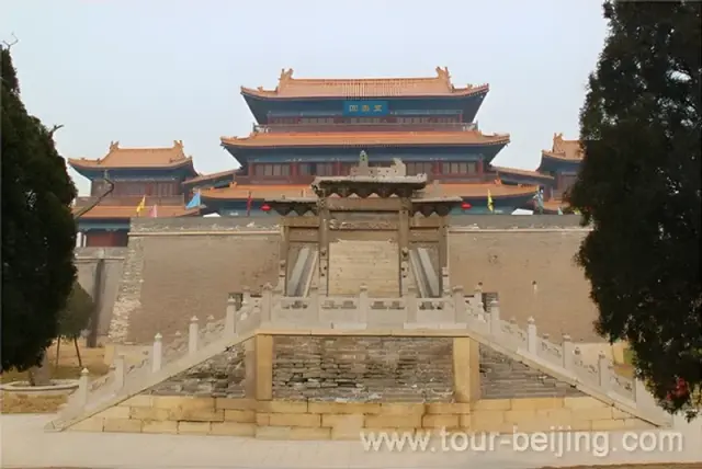 Longevity Tower