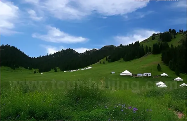 Southern Pastures