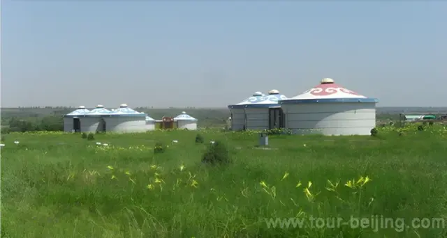 Ordos Grassland