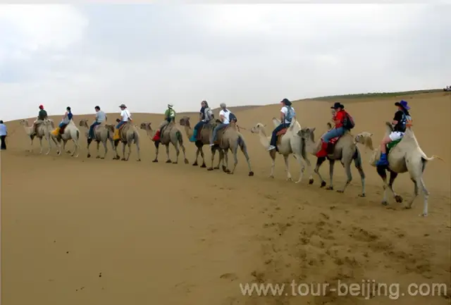 Camel Riding at Resonant Sand Gorge