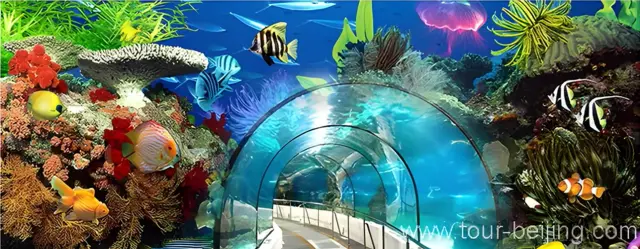 Beijing Aquarium