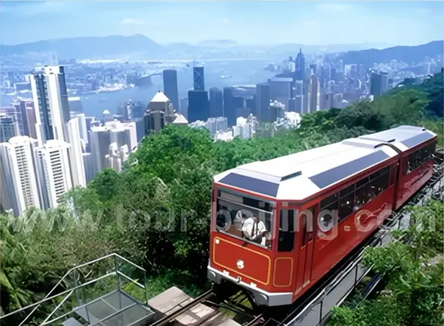 Hong Kong Island and Ocean Park Day Tour
