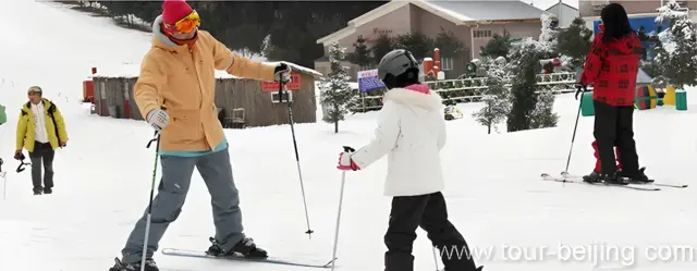 Learn to Ski