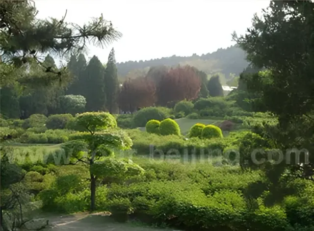 Most Environmental-Friendly Beijing Day Trip