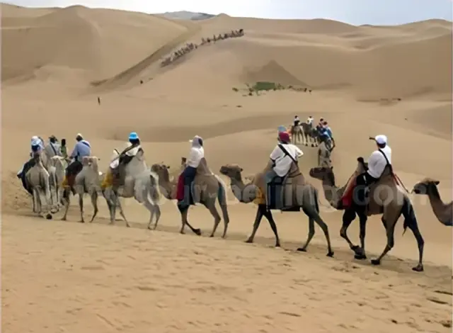 one hour's camel ride