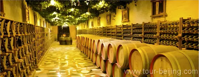 Dragon Seal Wine Museum
