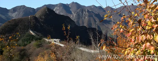 Bolitai Great Wall