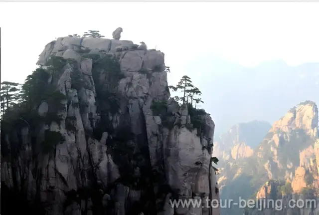 Stone Monkey Gazing over the sea of clouds (猴子观海)