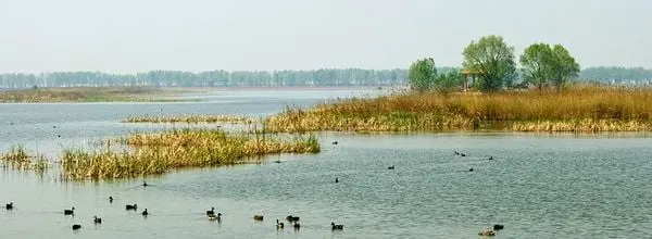 Yeyahu Lake Wetland