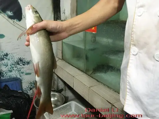 Ya fish caught alive and cooked freshly