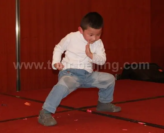 Kung Fu Show is performed by our English speaking tour guide - Mrs.Yuan's son.