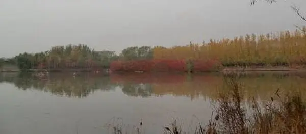 Cuihu National Urban Wetland Park