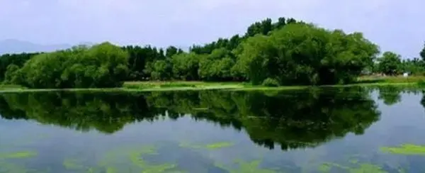 Liuli Temple Wetland Park