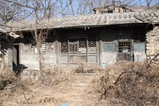 A bushy and sapling house