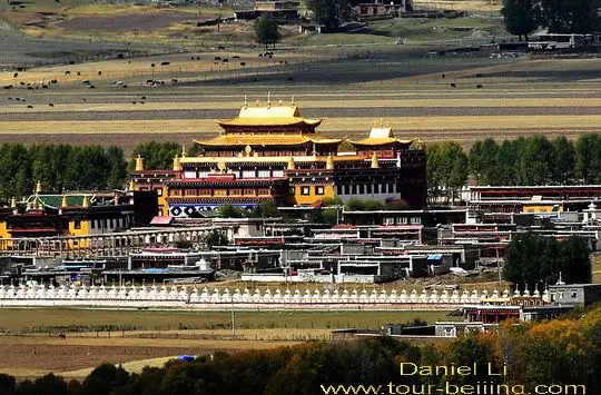 A close look at Huiyuan Temple