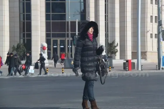 A cold beauty in the middl of the street