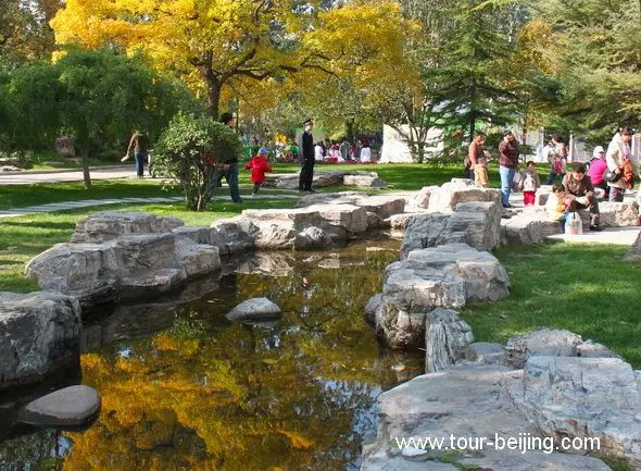 Best Places to See Fall Foliage in Beijing (Tips, Photos & Map)