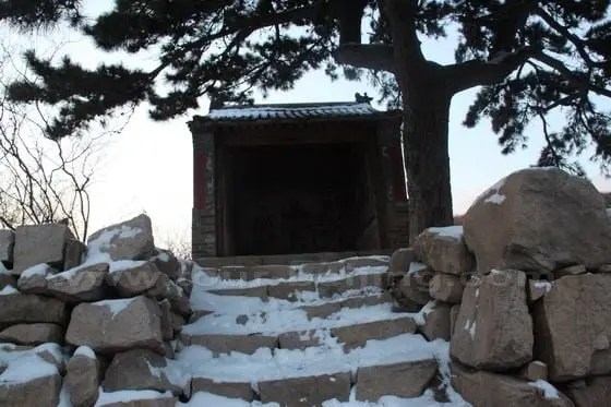 A shrine on a stone mound accompanied by a big pine tree in the middle of the road
