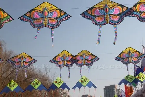 A sky of kites