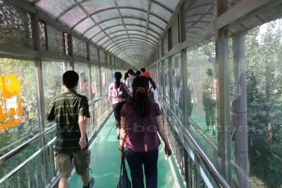 A special enclosed transparent corridor