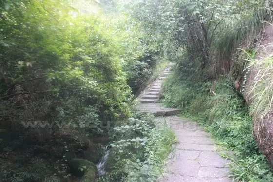 Accompanied by the running creek, we moved on along the bushy mountaind road.
