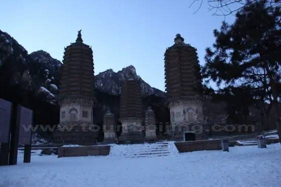 All five Jin Dynasty pagodas are multi-eaved brick structures on huge Sumeru platforms