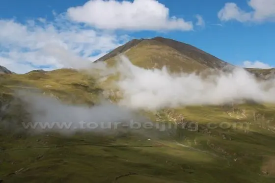Alpine meadow on the mountain