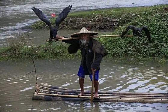 An old fishman and his fishing birds