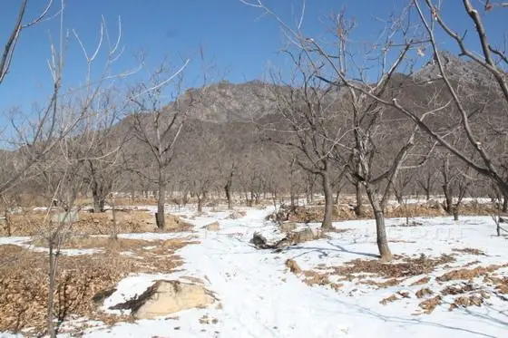 At the fork, we turn left and walk on the dirt road along the valley in the west direction