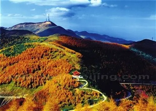 Autumn Colors at LiupanMountains
