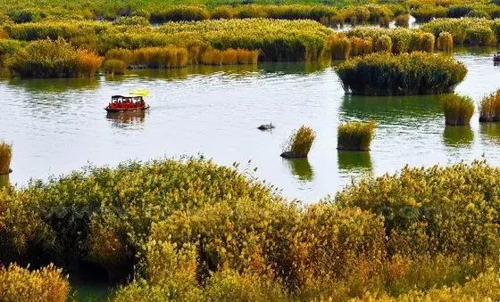 Autumn View at Shahu Lake