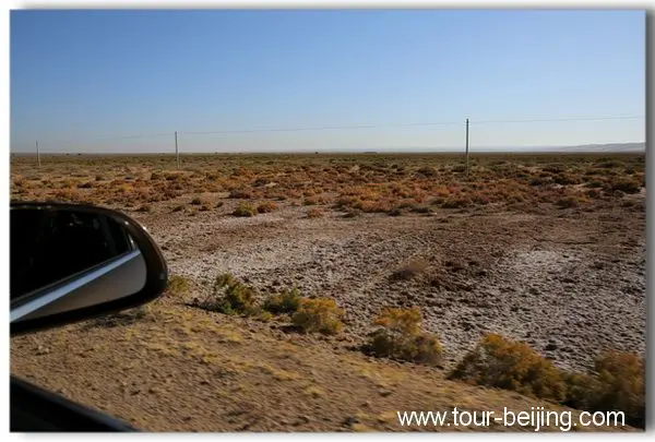 Passing by the barren desert rife with red willows