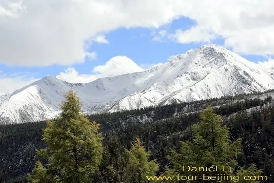 Baimang Snow Mountain