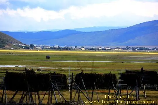 Barley drying racks