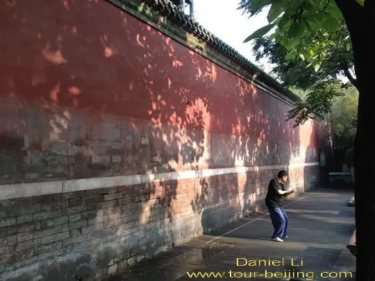 Morning Stroll around Beihai Park