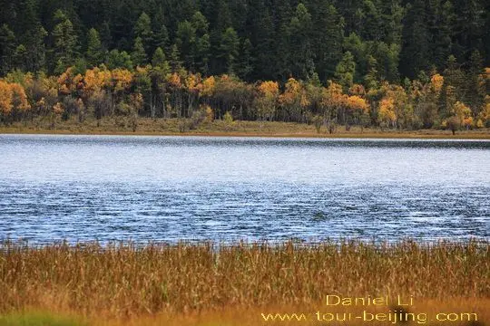 Bita lake