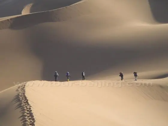Brave and strong trekkers trudging through the Taklimakan desert