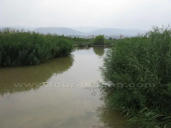Bridge, water, grass and people.