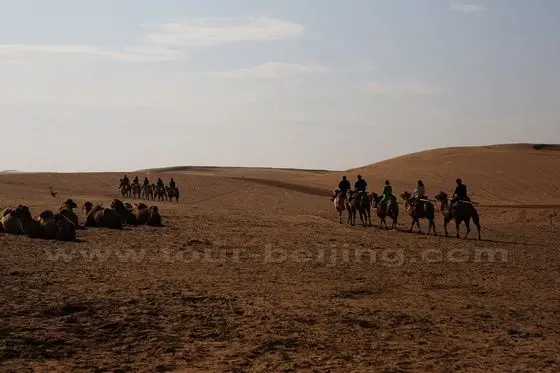 Camel Riding