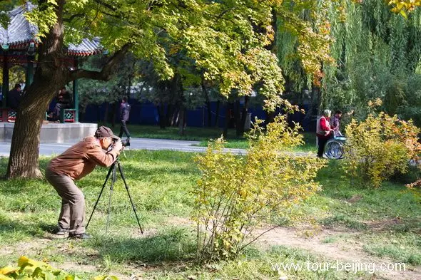 Best Places to See Fall Foliage in Beijing (Tips, Photos & Map)