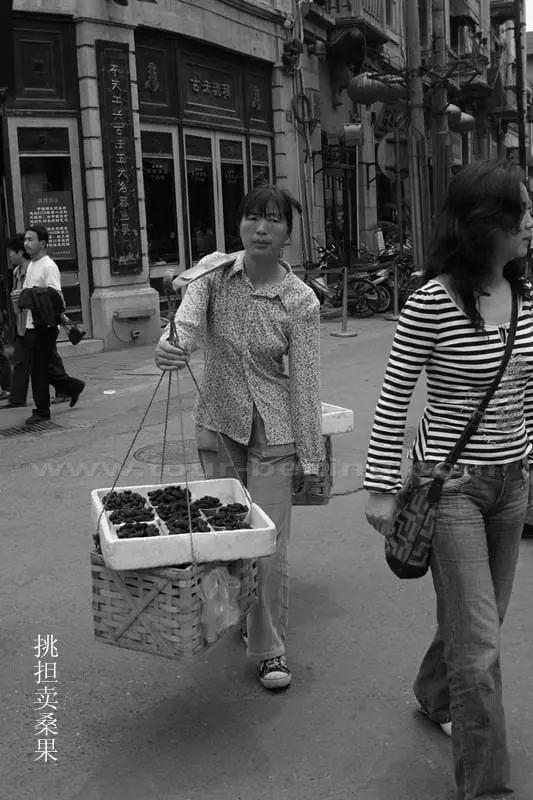 Carrying the load of mulberry for sale