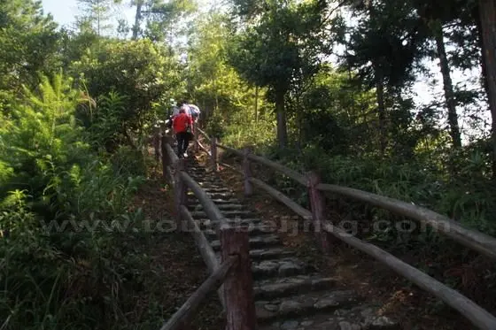 Climbing up to the sightseeing platform on the hillside north of Chuxi Village.