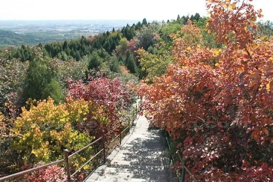 Covered by the trees with red leaves