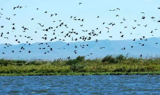 Dalinur Lake (Tips, Photos & Map)