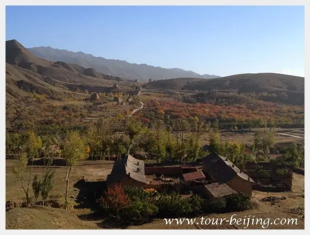 The autumn view of the Wall and colorful apricot trees