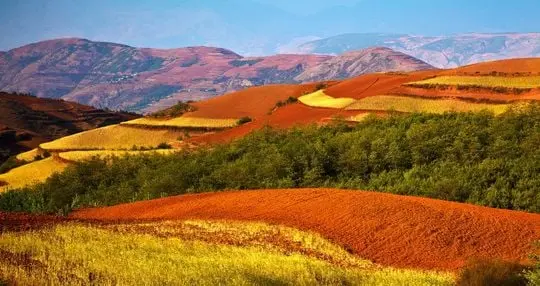 Dongchuan Red Earth