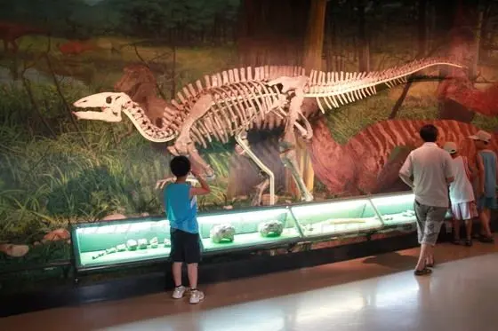 Dragon Skeleton