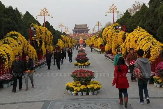 Everywhere is decorated with yellow Chrysanthemum flowers -