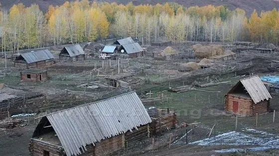 Fall Foliage at Baihaba